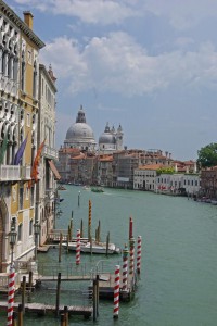 IMGP3441