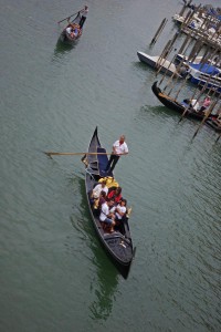 IMGP3464